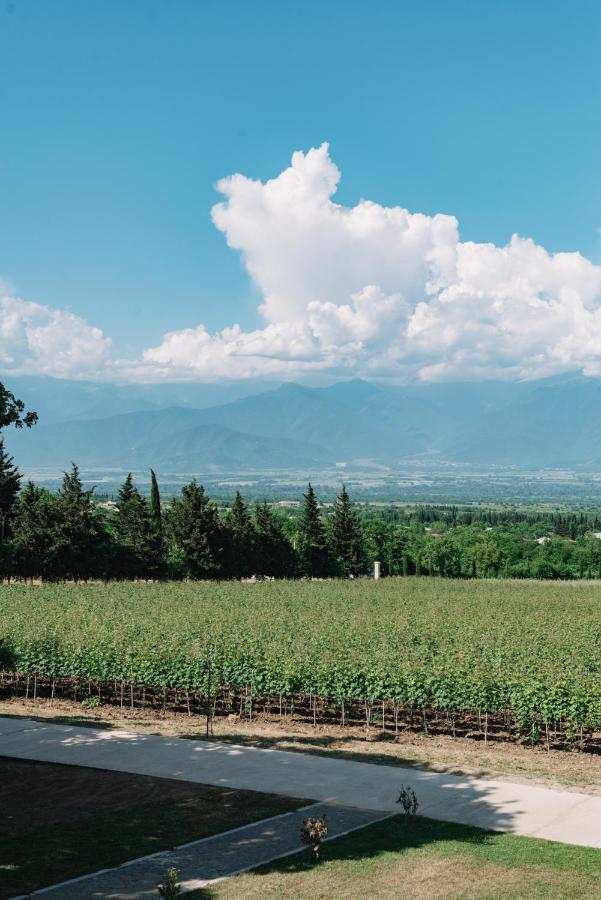 ホテル Vazisubani Estate エクステリア 写真