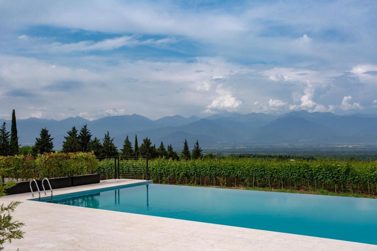 ホテル Vazisubani Estate エクステリア 写真