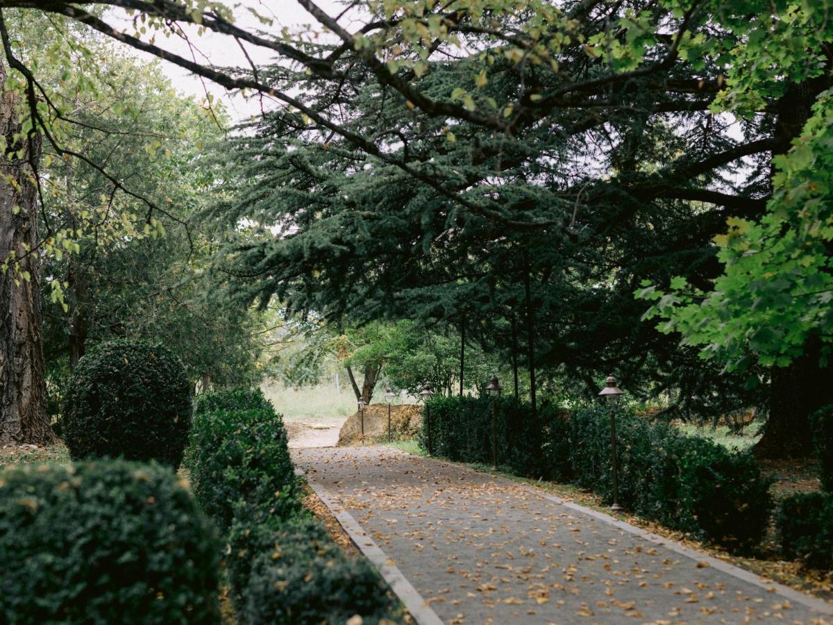 ホテル Vazisubani Estate エクステリア 写真